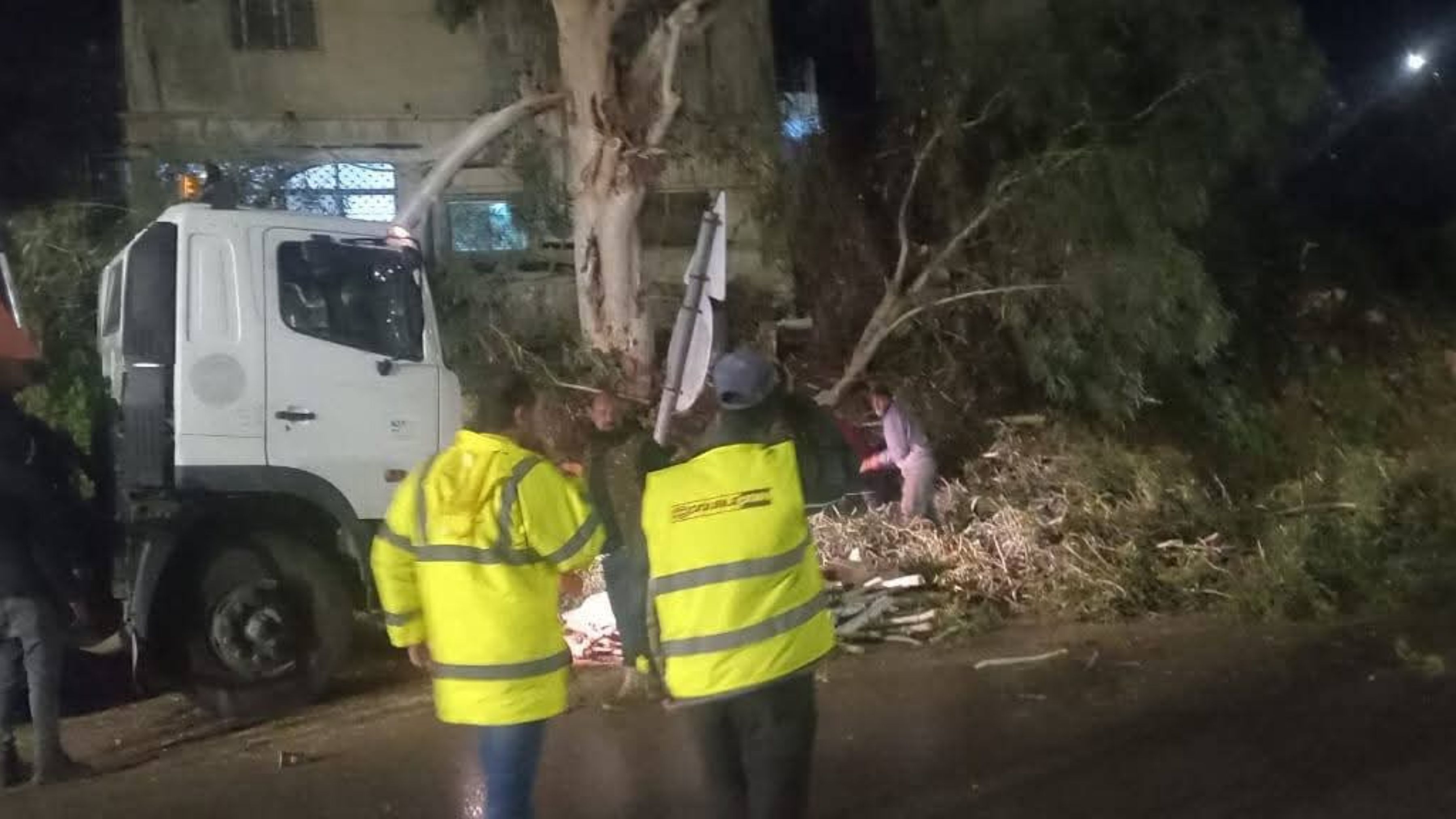 بلدية شرحبيل تتعامل مع سقوط شجرة بمسار طريق الأغوار الدولي