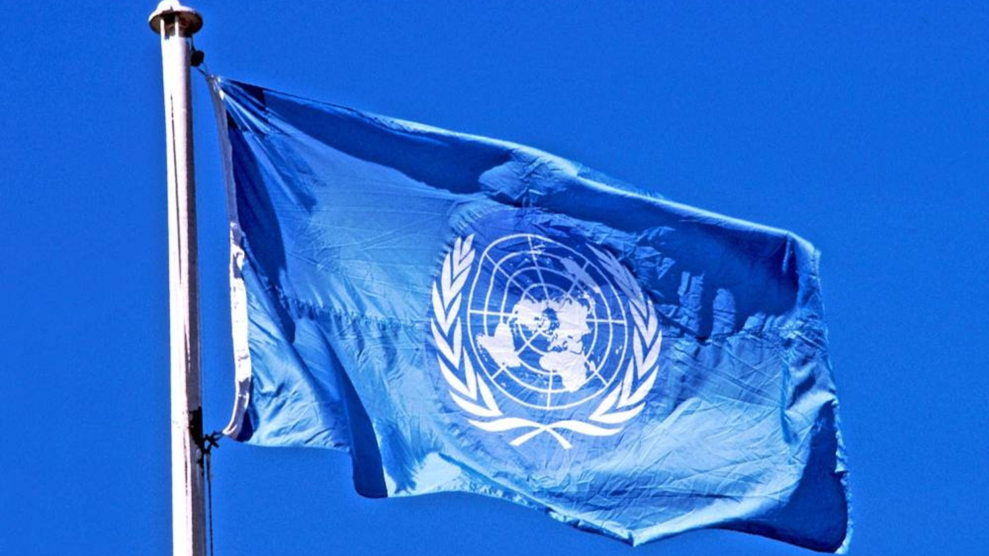 الأمم المتحدة: إسرائيل ما زالت تقتل الفلسطينيين في غزة