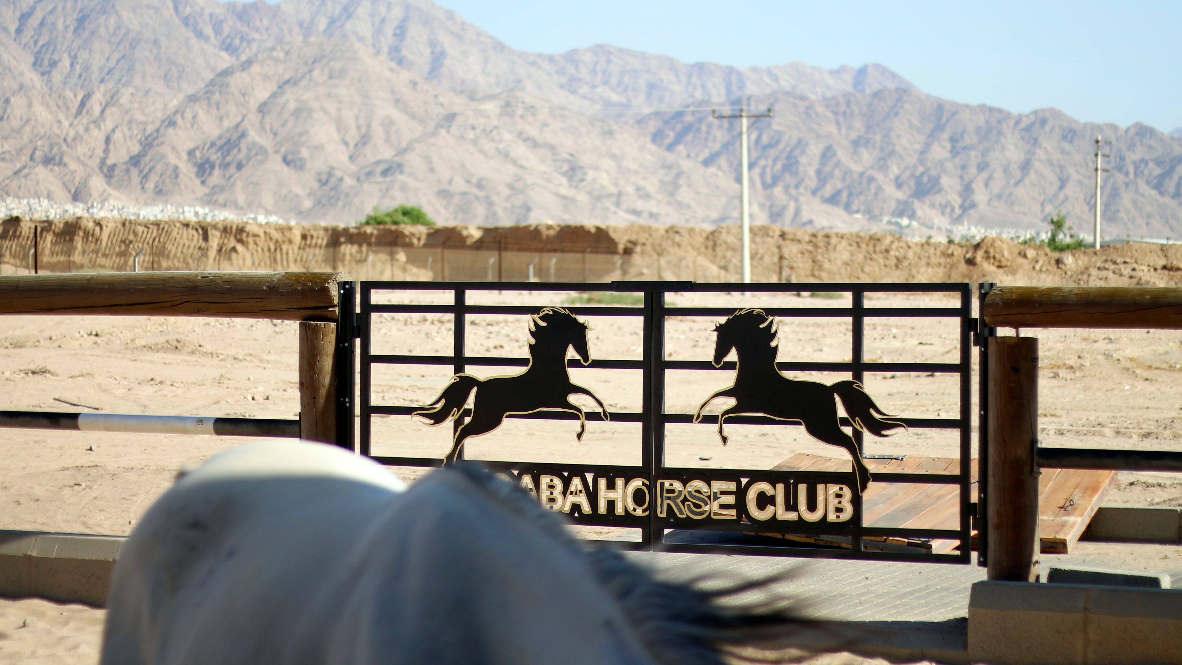 نادي الفروسية إضافة نوعية تعزز تنوع المنتج السياحي في العقبة