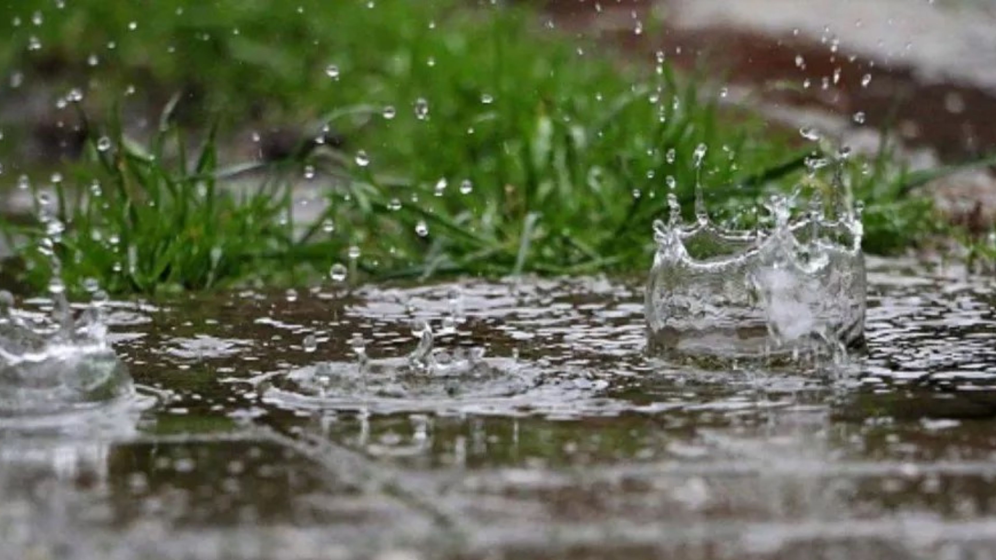 Seasonal Rainfall Reaches 72% of Annual Average After Final January depression