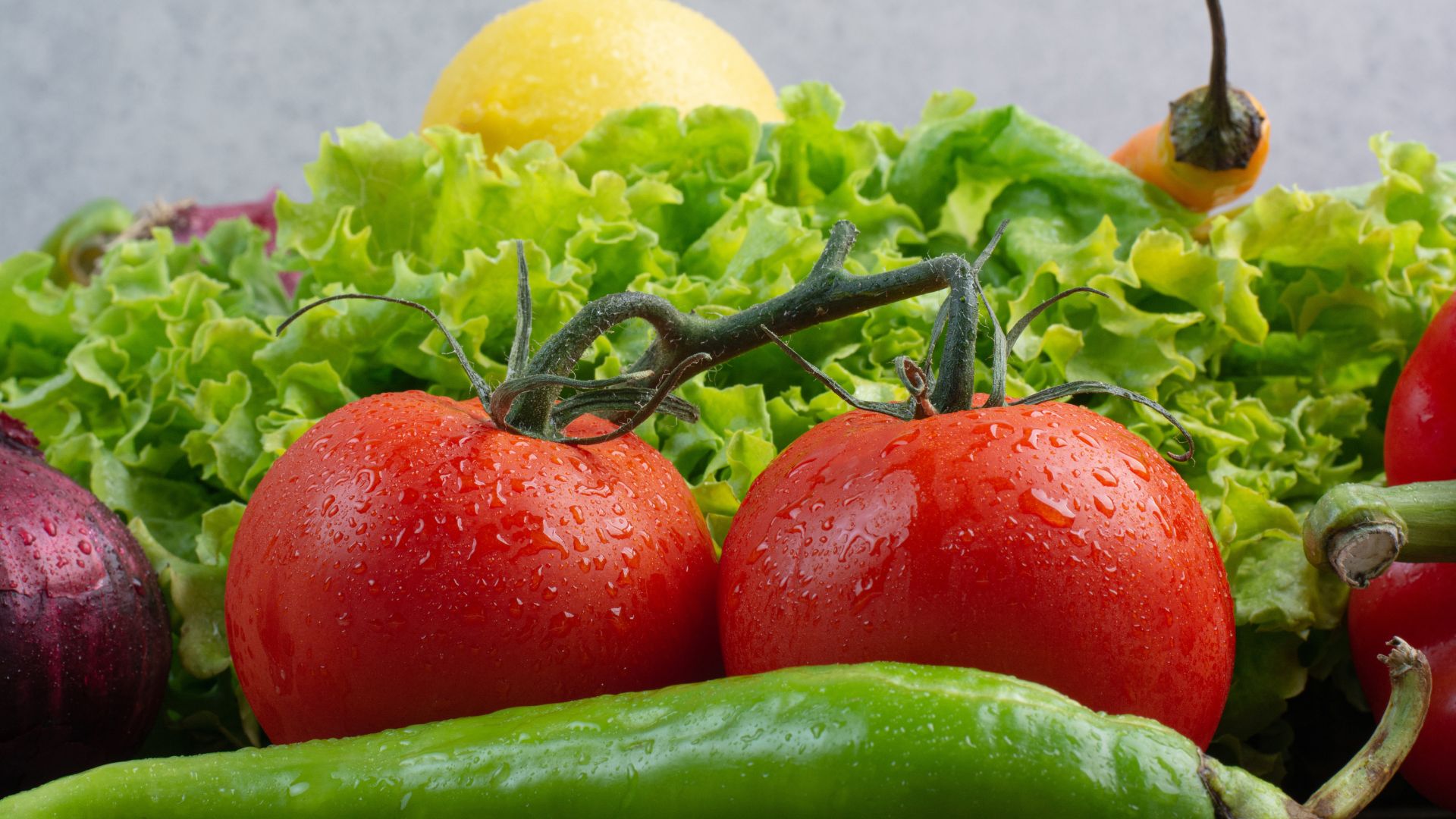 2623 طنا من الخضار ترد السوق المركزي اليوم