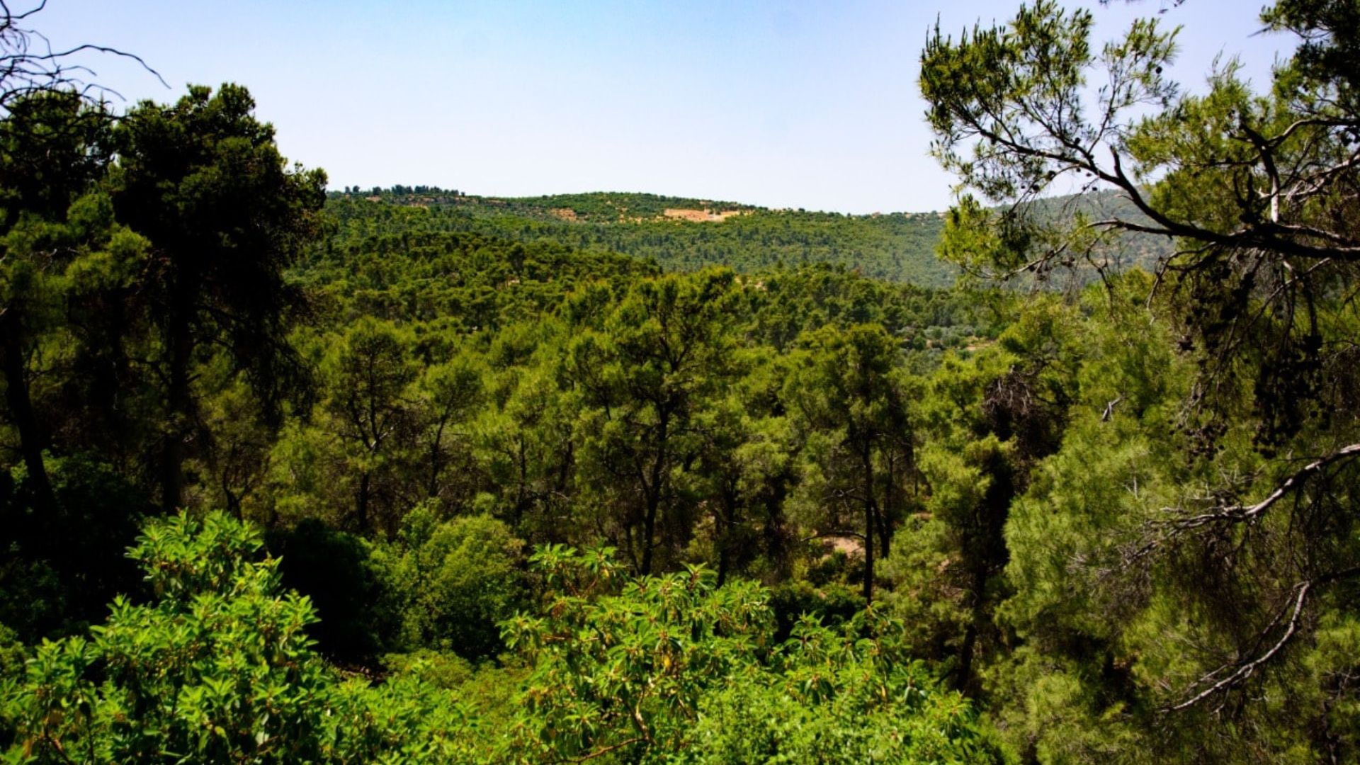 Dibeen Forest Reserve Promotes Eco-Tourism, Local Employment Through Heritage Crafts