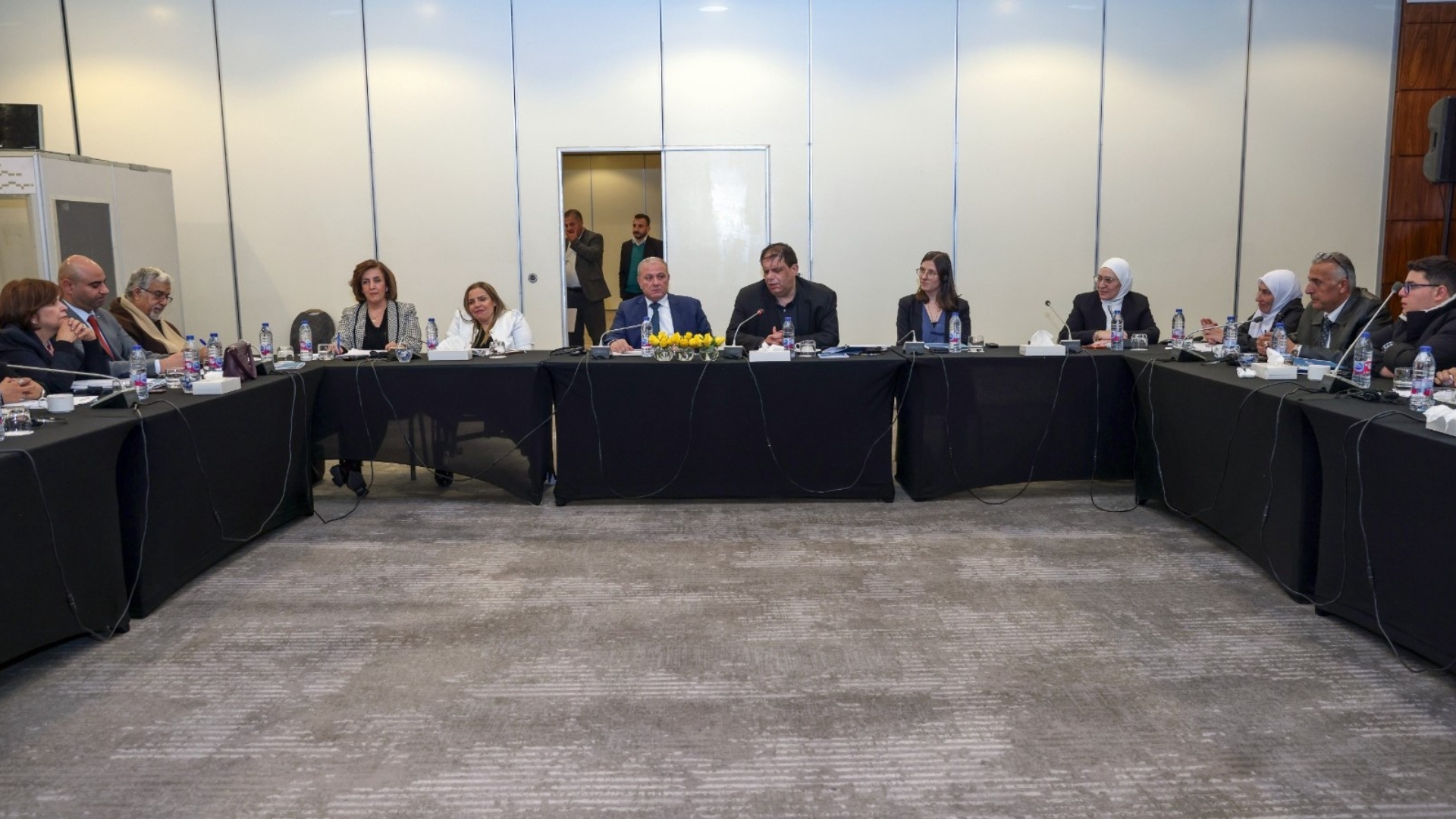 Council, parliament discuss disability inclusion, political participation