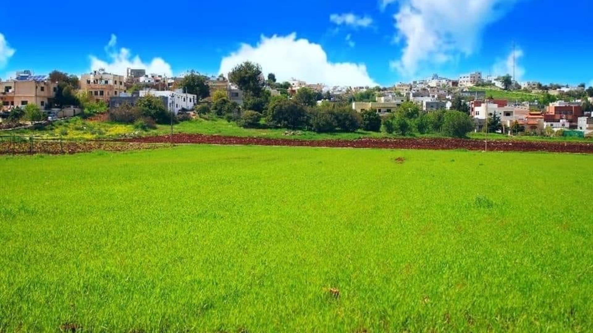 Pundits: Biodiversity Key to Sustaining Ajloun’s Vegetation Cover