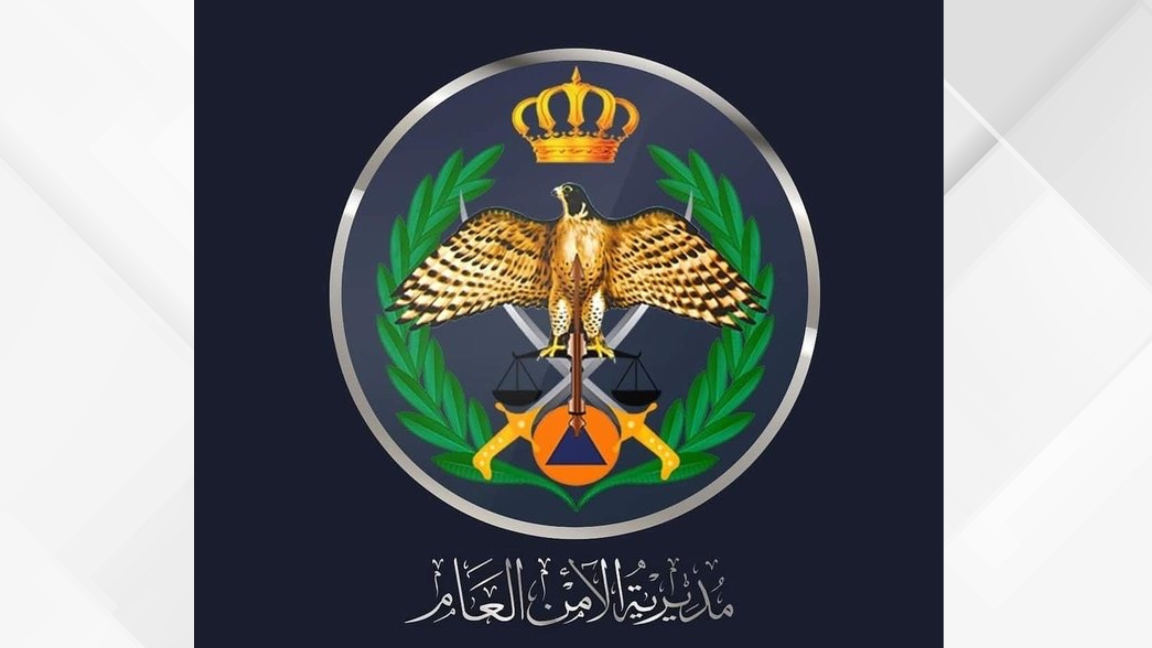 Police Arrest Suspect in Assault on Person with Disability in Irbid