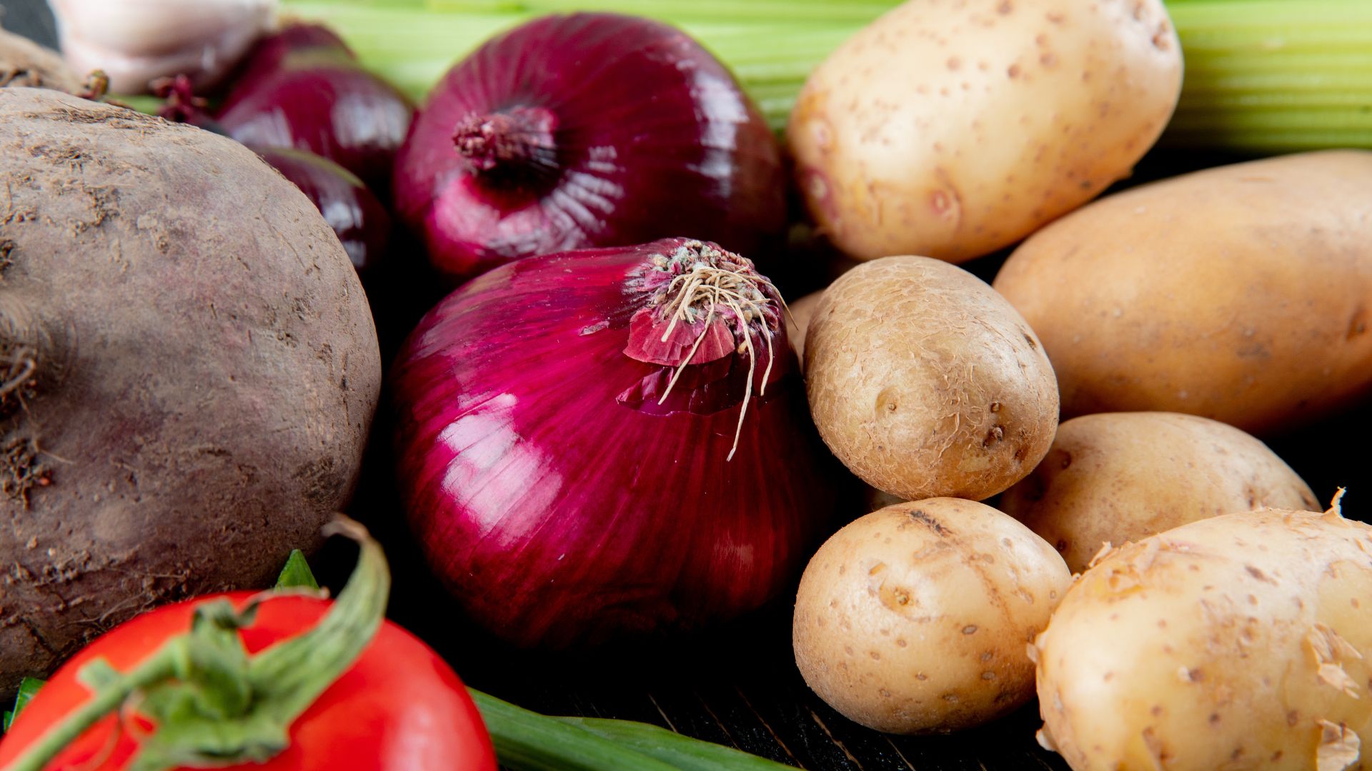 2479 طنا من الخضار ترد السوق المركزي اليوم