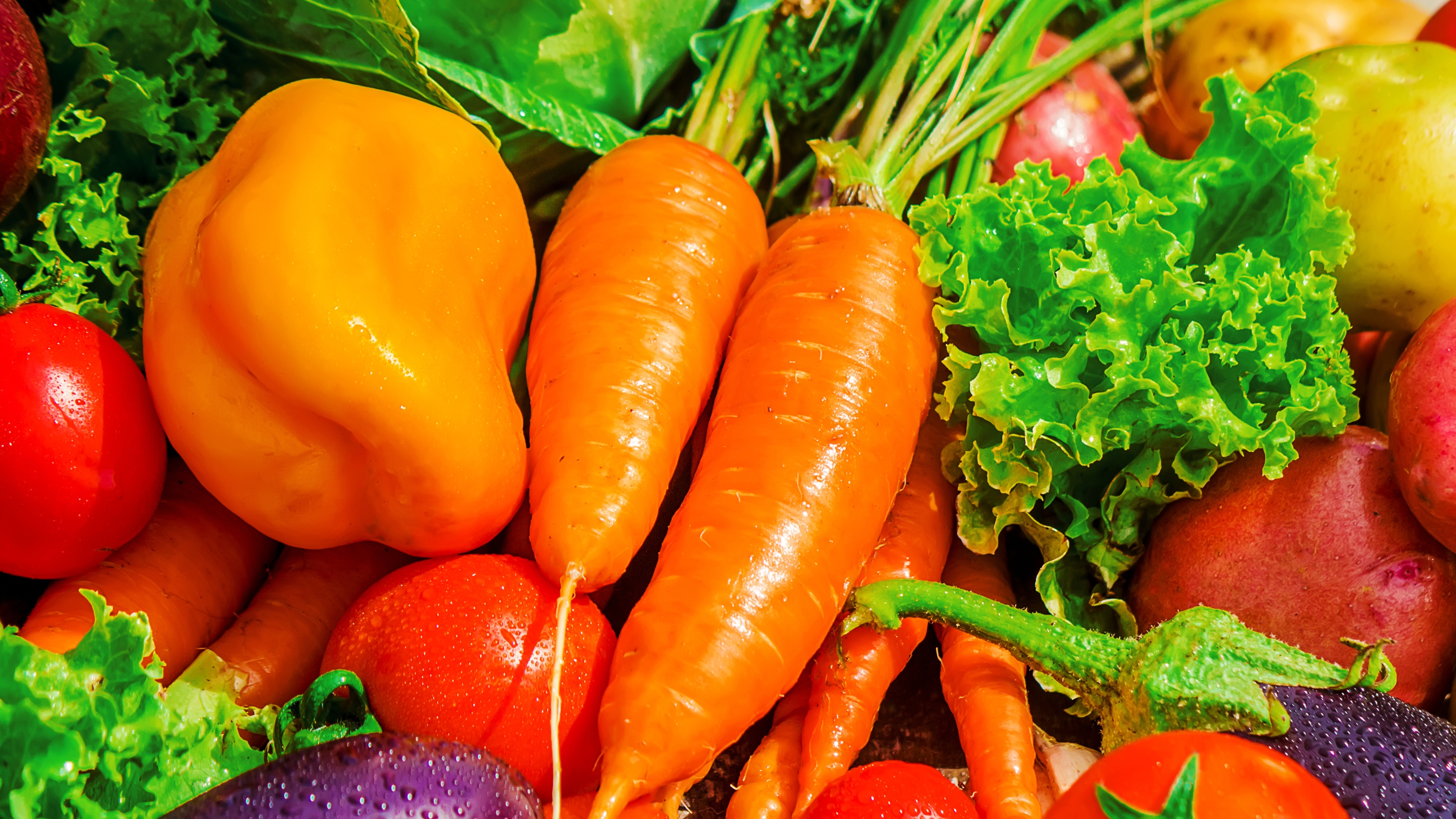 1553 طنا من الخضار ترد السوق المركزي اليوم