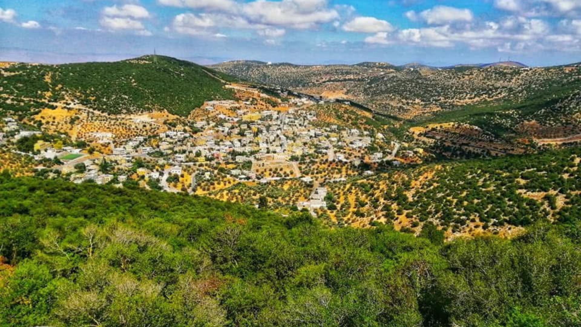 عجلون: مطالب بتحسين خدمات مسلخ المحافظة وتعزيز معايير السلامة