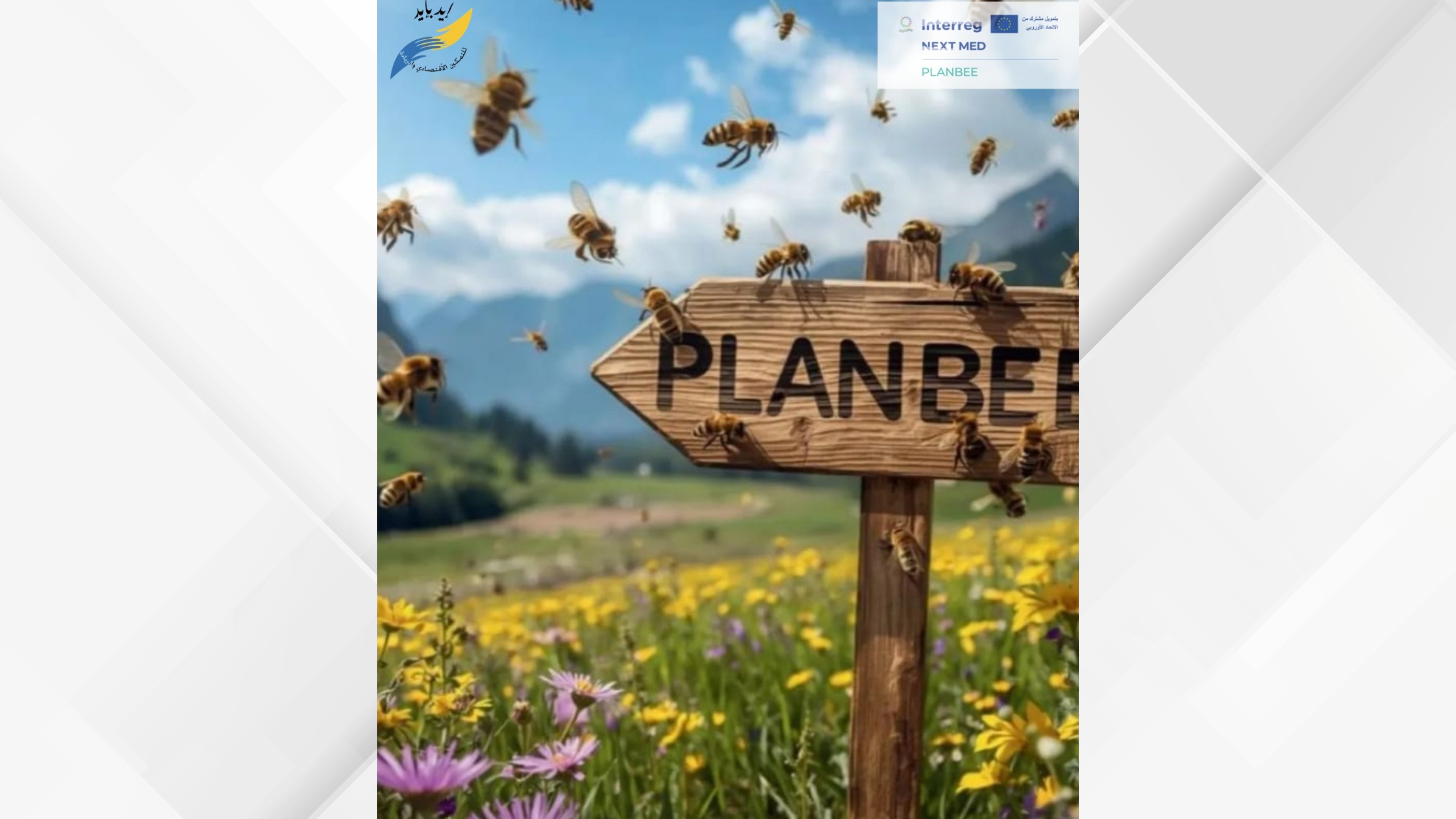 انطلاق فعالية "ورد وعمار" لدعم النحل والتنمية الريفية الشهر المقبل