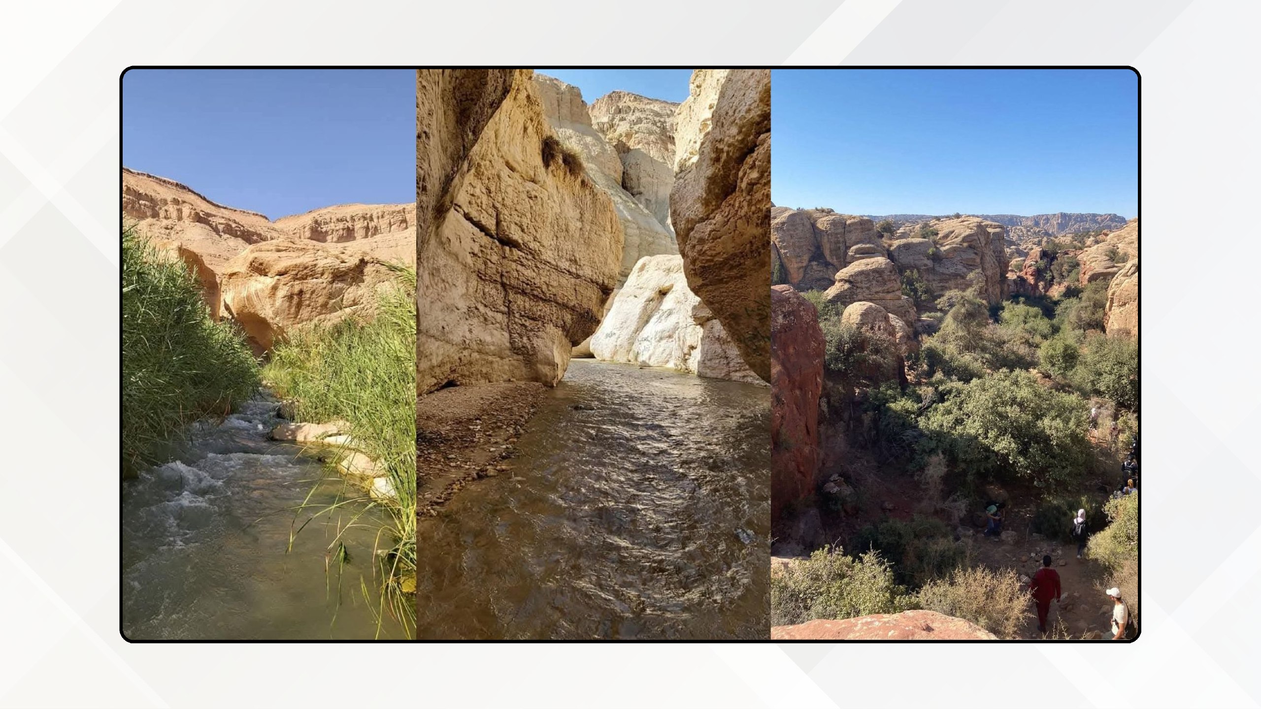 أمطار نيسان تستحضر الذاكرة الجمعية وتبث معاني الأمل بموسم زراعي وافر