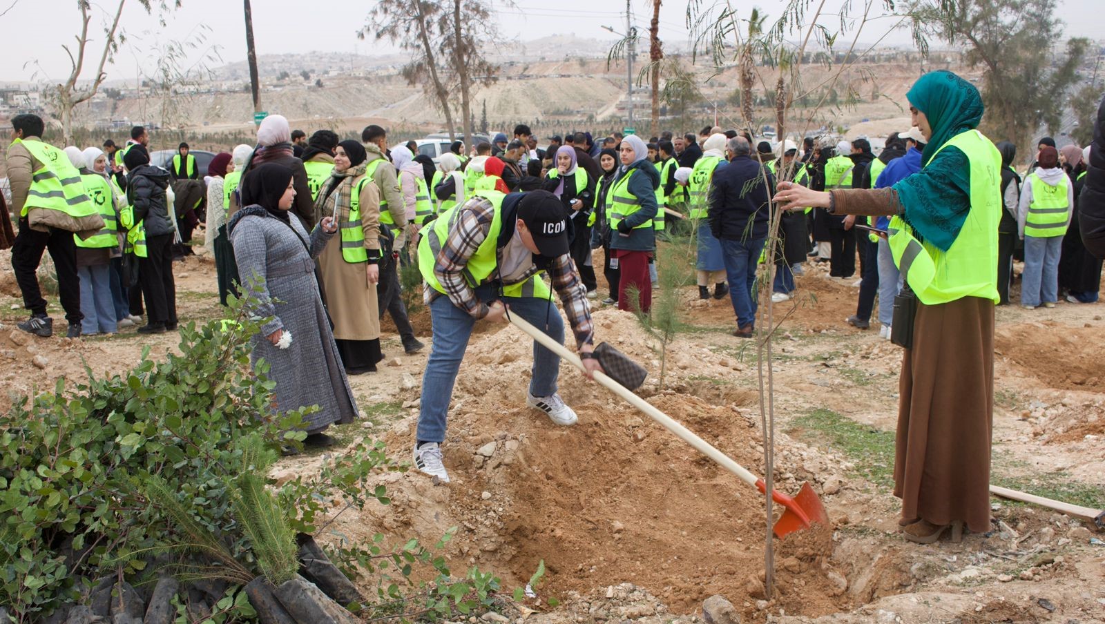  بلديات المملكة تزرع نحو 70 ألف شجرة ضمن حملة التشجير والتخضير 