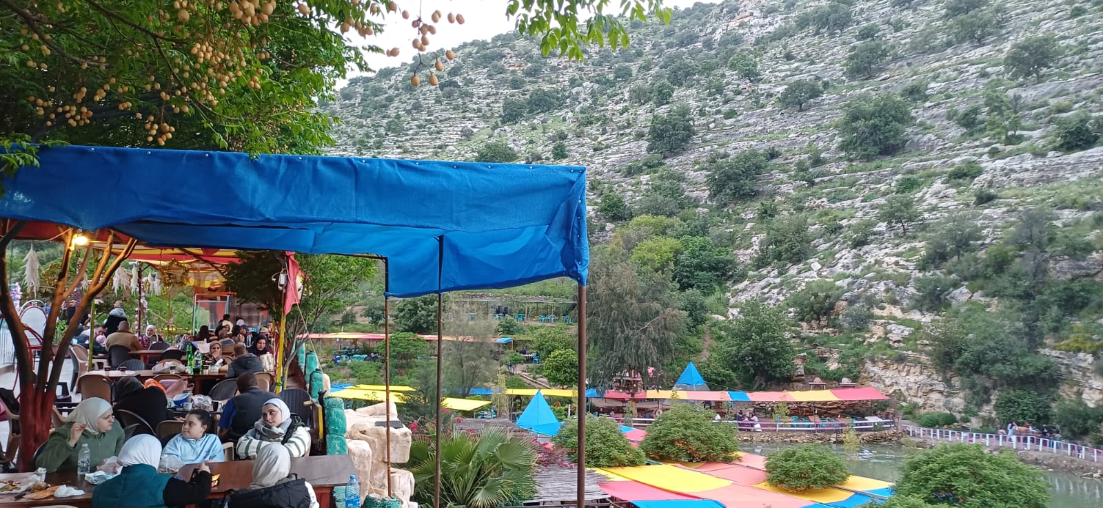 كفرسوم.. طبيعة خلابة واستراحات ريفية تستقطب الزوار من مختلف مناطق المملكة