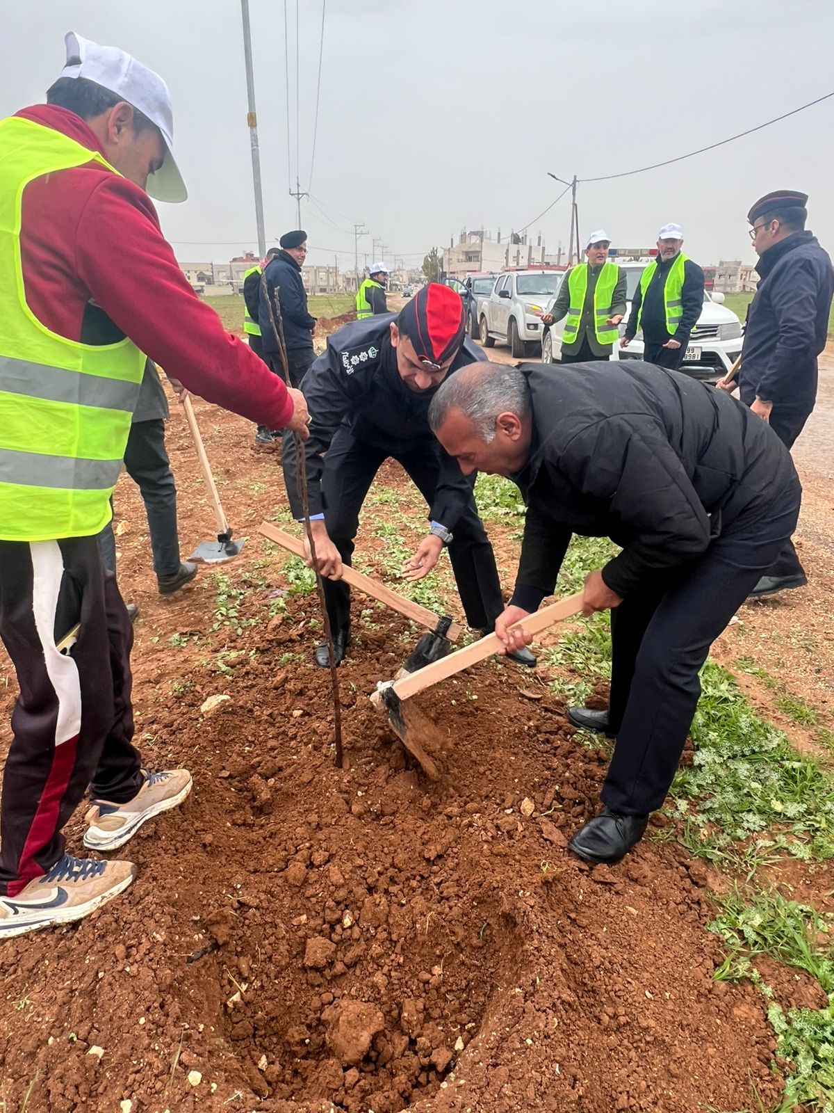  الرمثا تشارك بحملة التشجير الوطني 