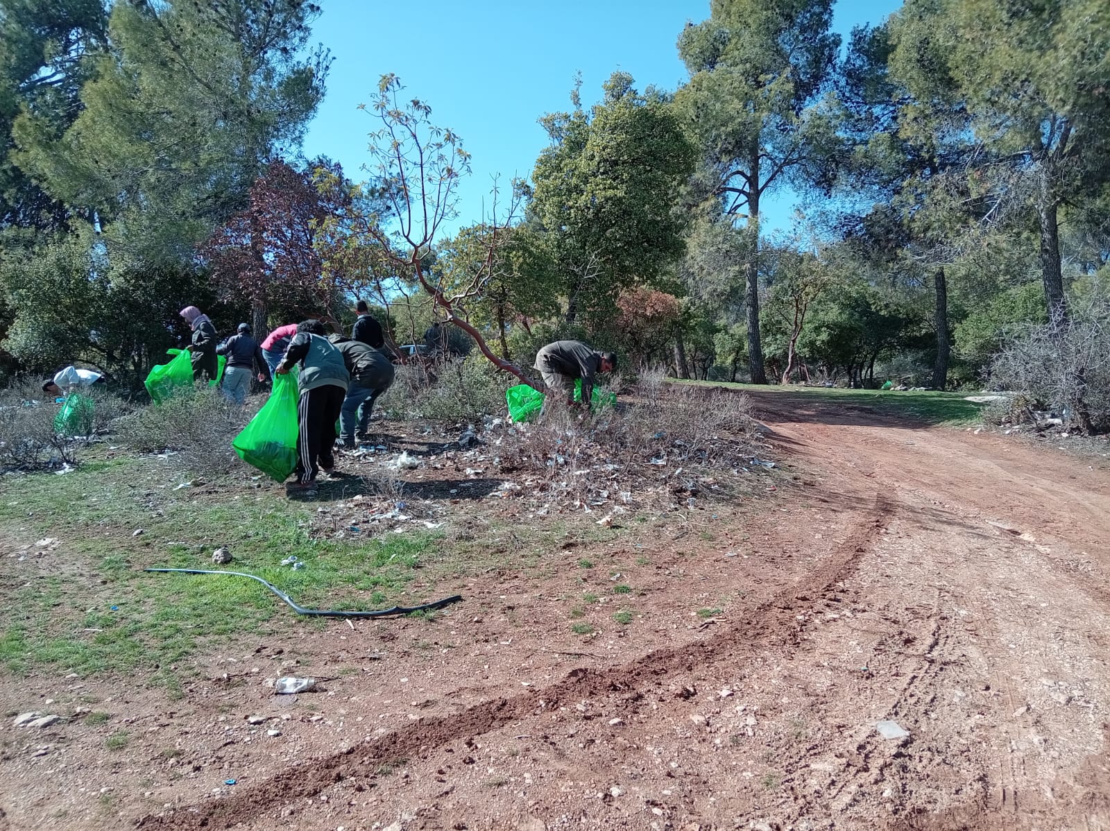  "البيئة" تنفذ حملات نظافة شاملة للحد من الإلقاء العشوائي للنفايات
