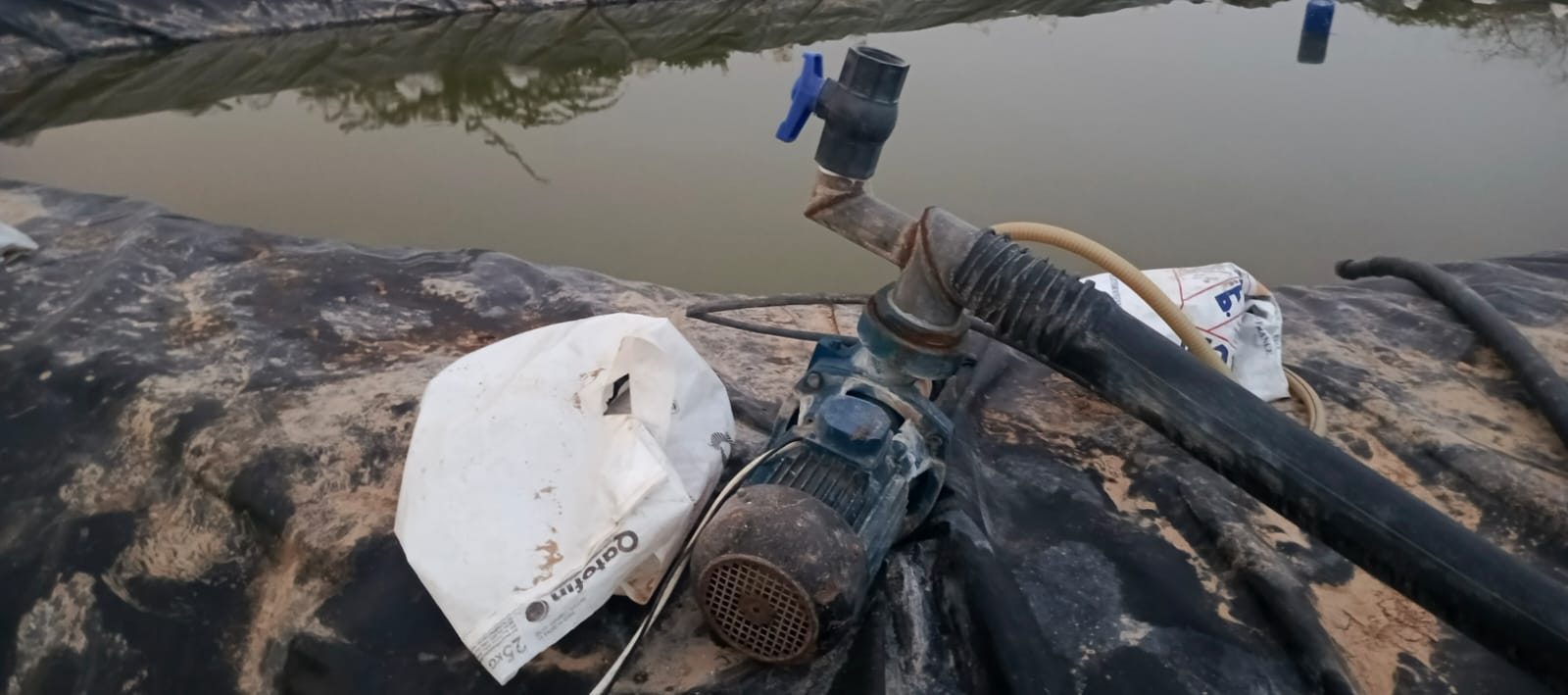  حملة أمنية كبيرة بالشونة الجنوبية لإزالة الاعتداءات على مصادر المياه