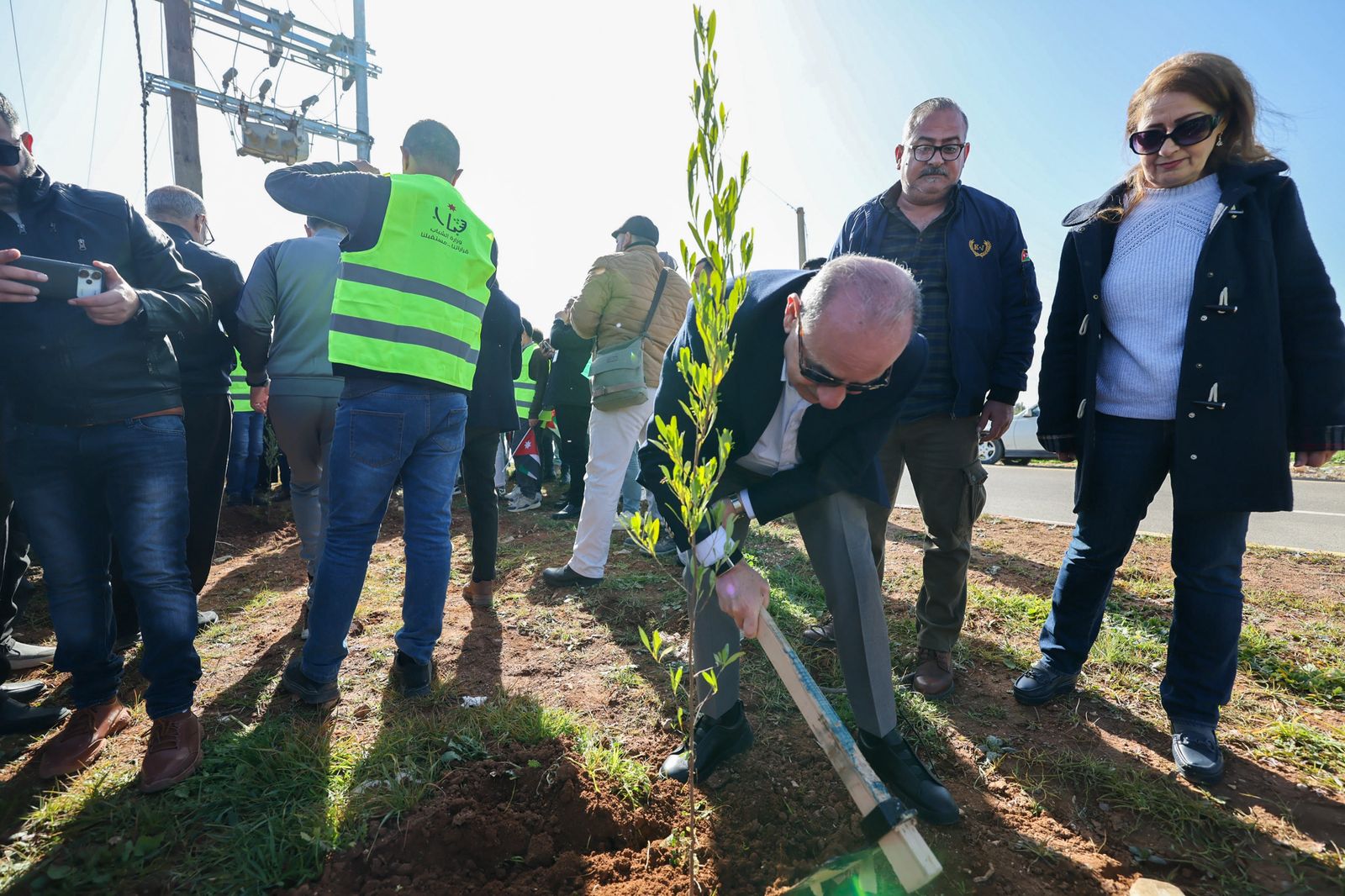  غرس 6 آلاف شجرة في الرمثا