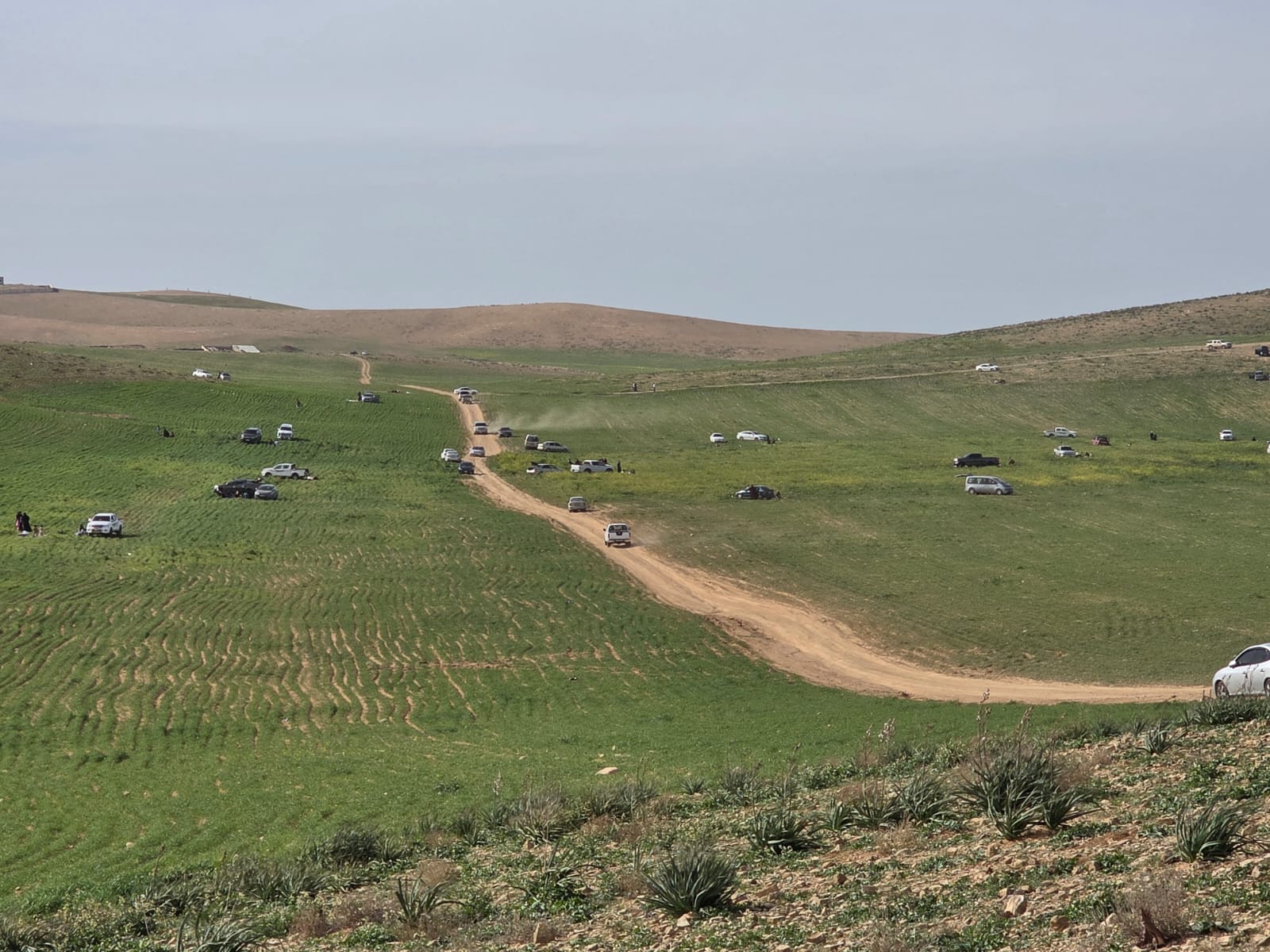  حوشا تشهد نشاطًا ملحوظًا للتنزه وسط كرم أهلها وسحر طبيعتها