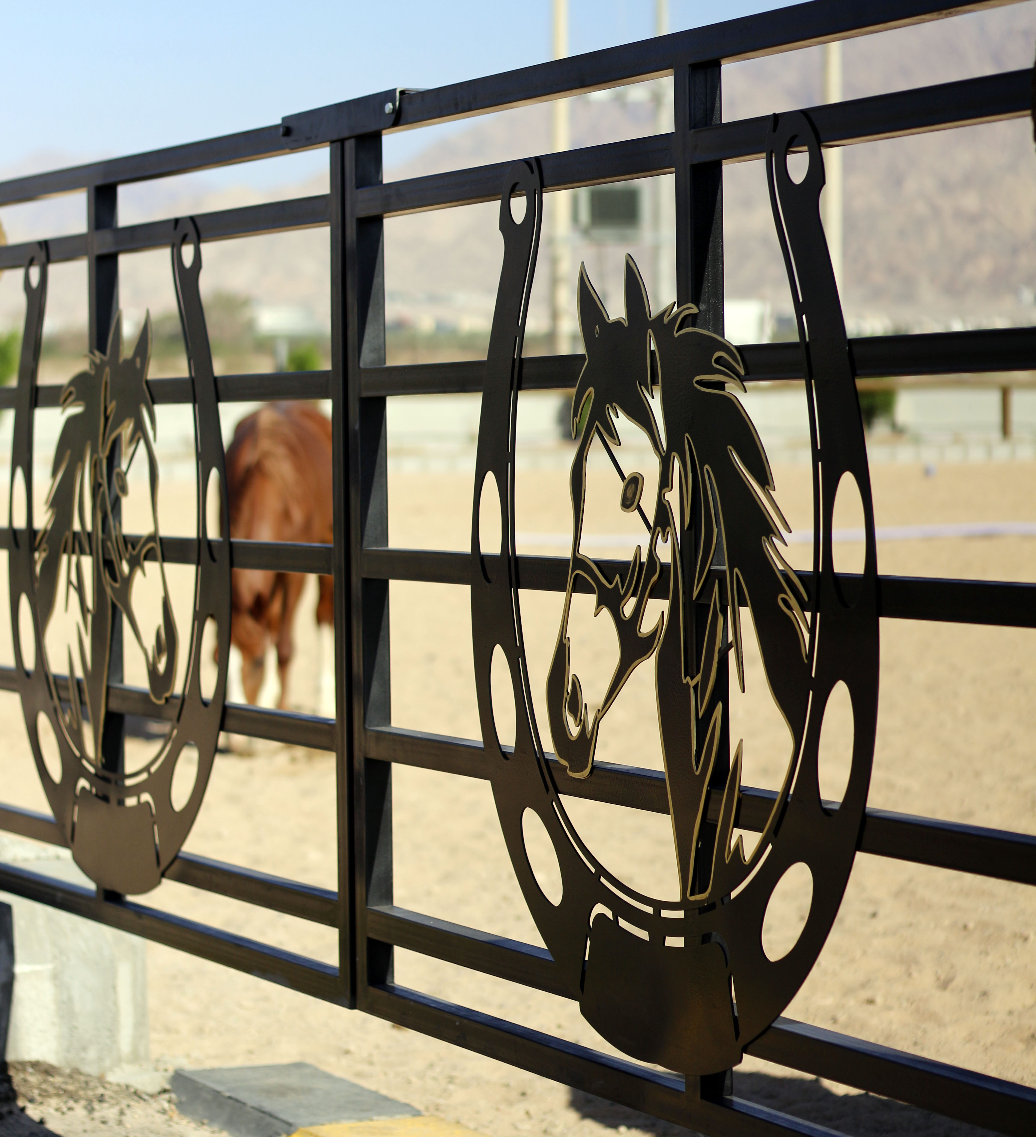  نادي الفروسية إضافة نوعية تعزز تنوع المنتج السياحي في العقبة