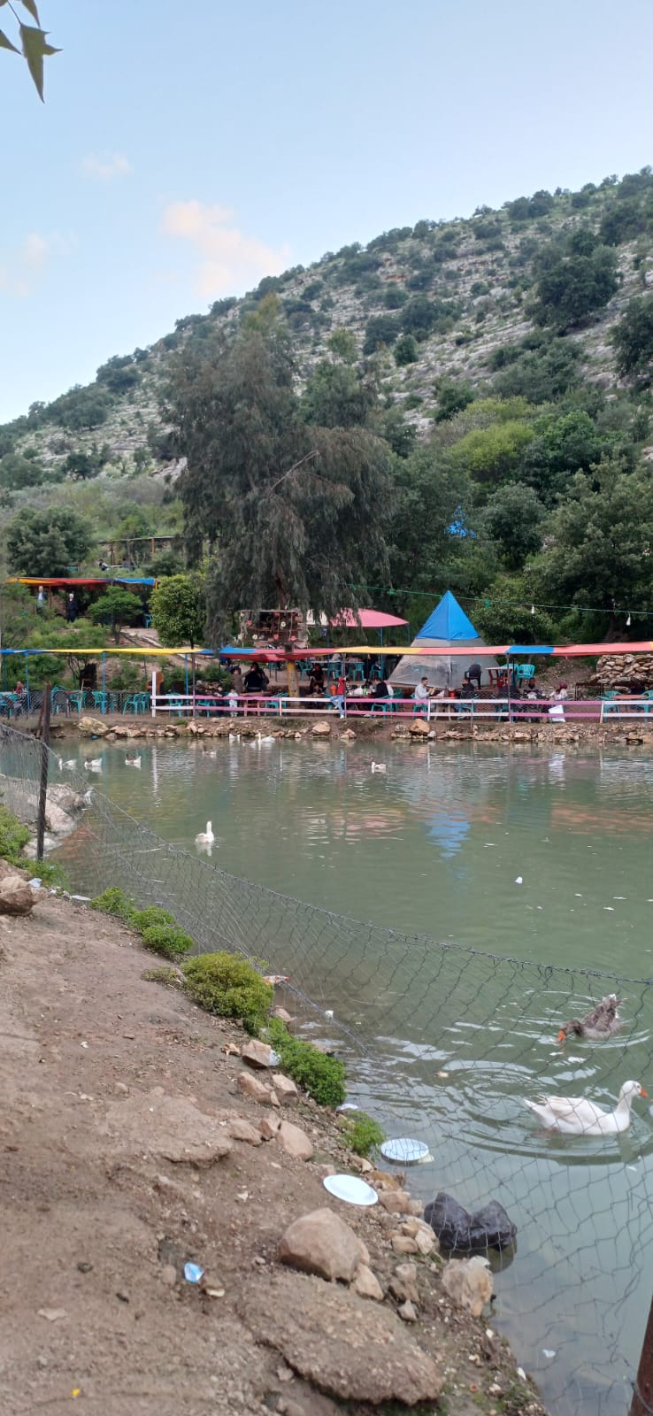 كفرسوم.. طبيعة خلابة واستراحات ريفية تستقطب الزوار من مختلف مناطق المملكة