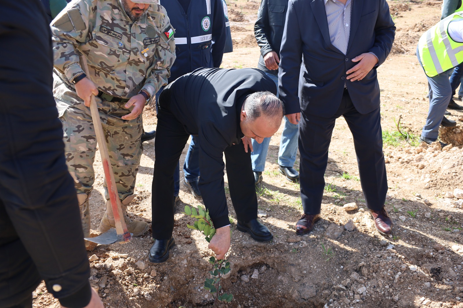"الطاقة والمعادن" تشارك في الحملة الوطنية لغرس الأشجار الحرجية 