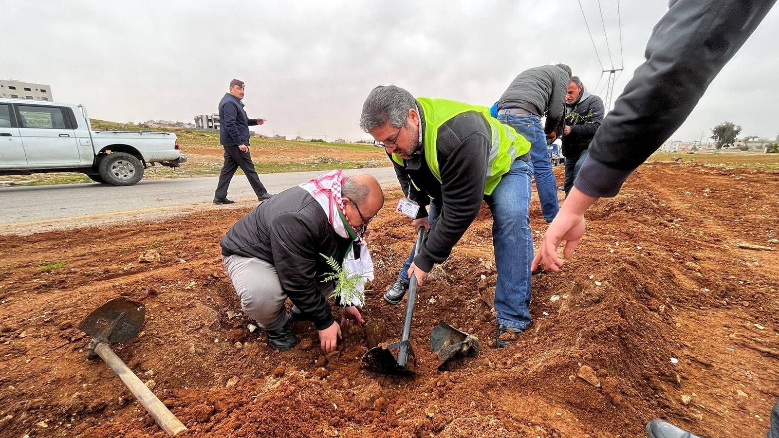  بلديات عمّان تشارك في حملة التشجير والتخضير بغرس نحو 7 آلاف شجرة 