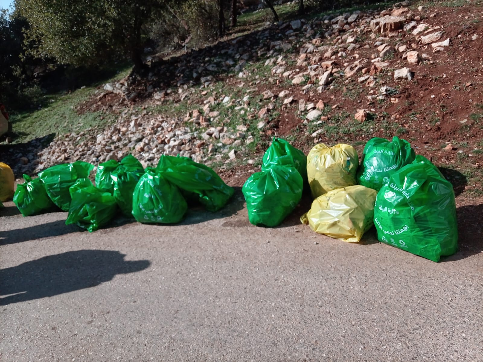  "البيئة" تنفذ حملات نظافة شاملة للحد من الإلقاء العشوائي للنفايات