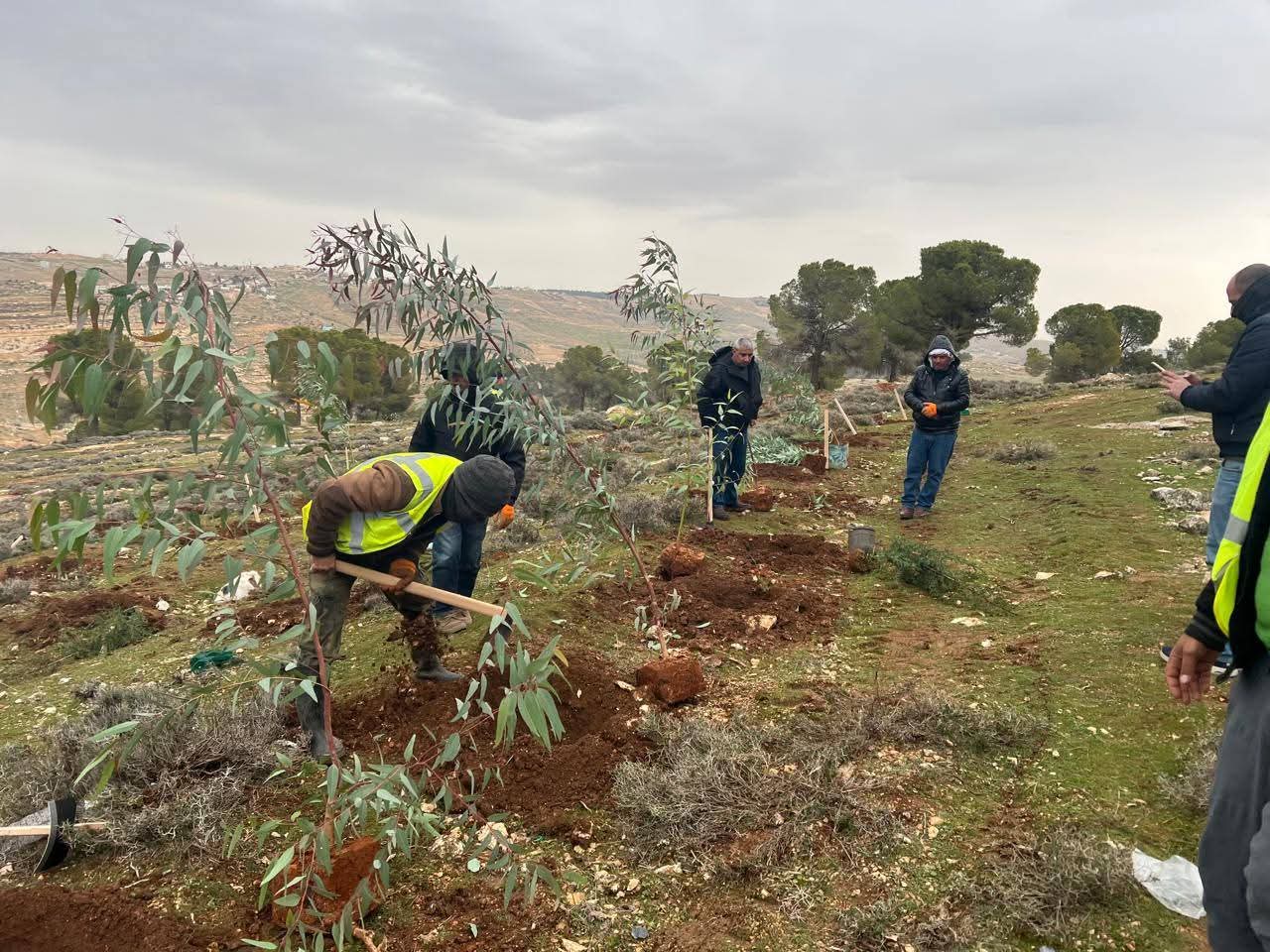  إطلاق حملة لزراعة الأشجار في جرش