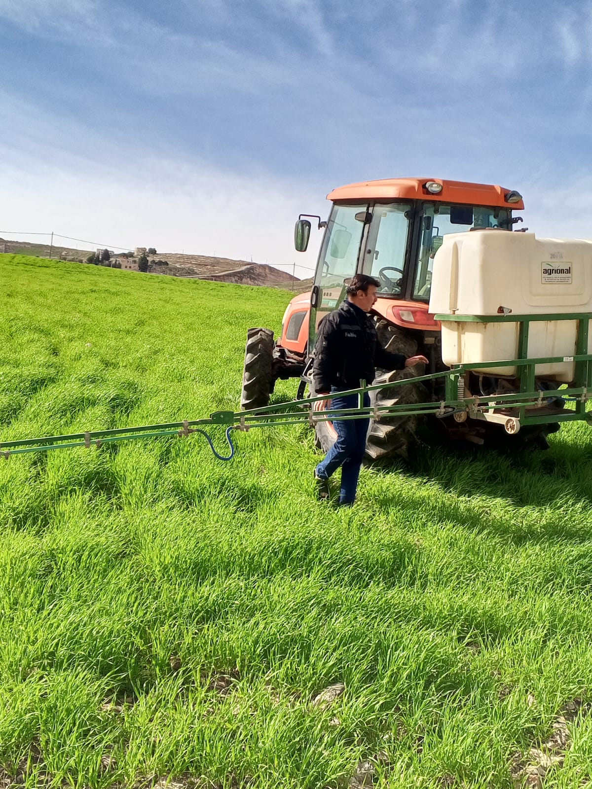  "زراعة إربد" تواصل حملة مكافحة دودة الزرع لحماية المحاصيل الزراعية