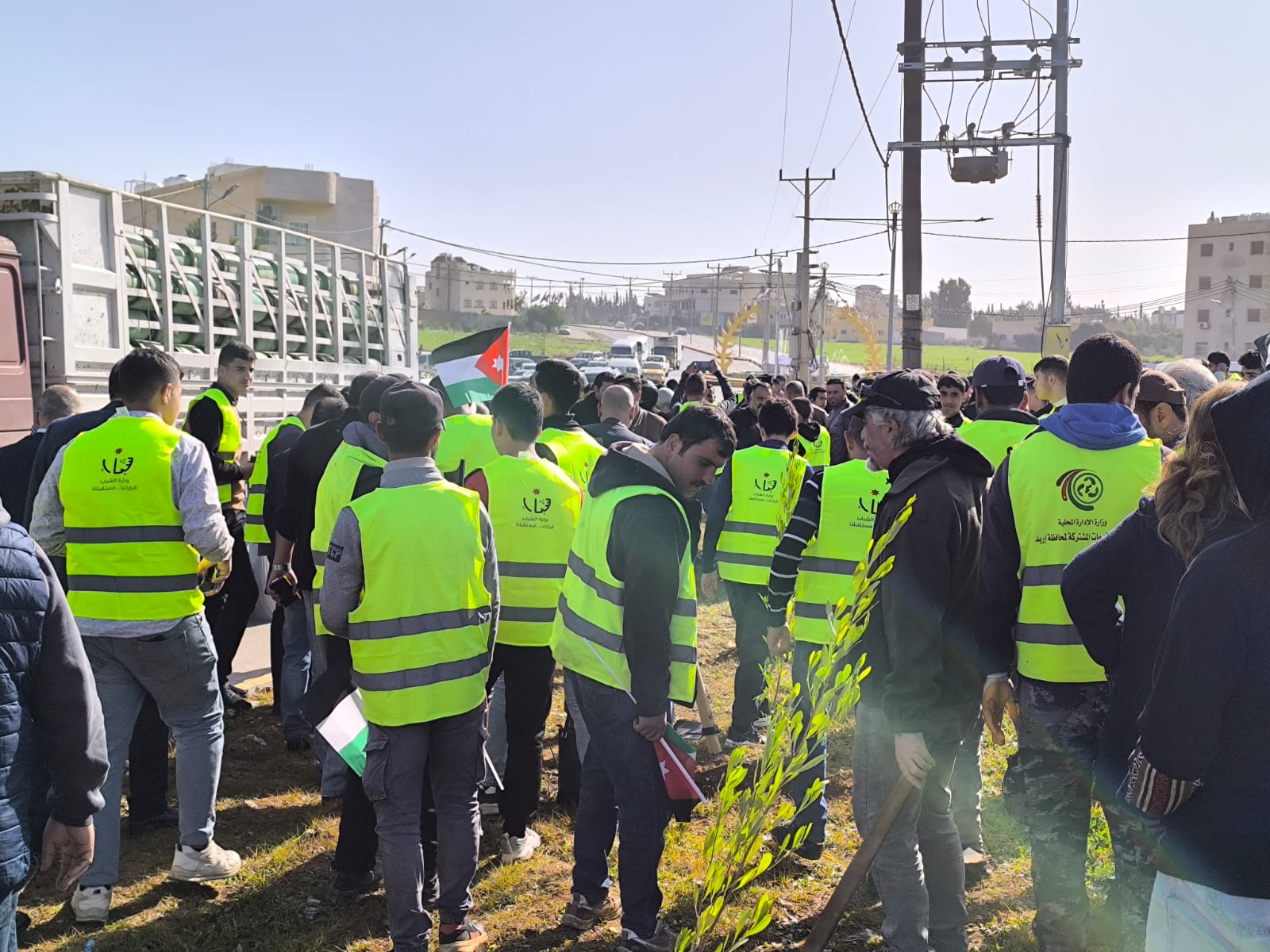  غرس 6 آلاف شجرة في الرمثا