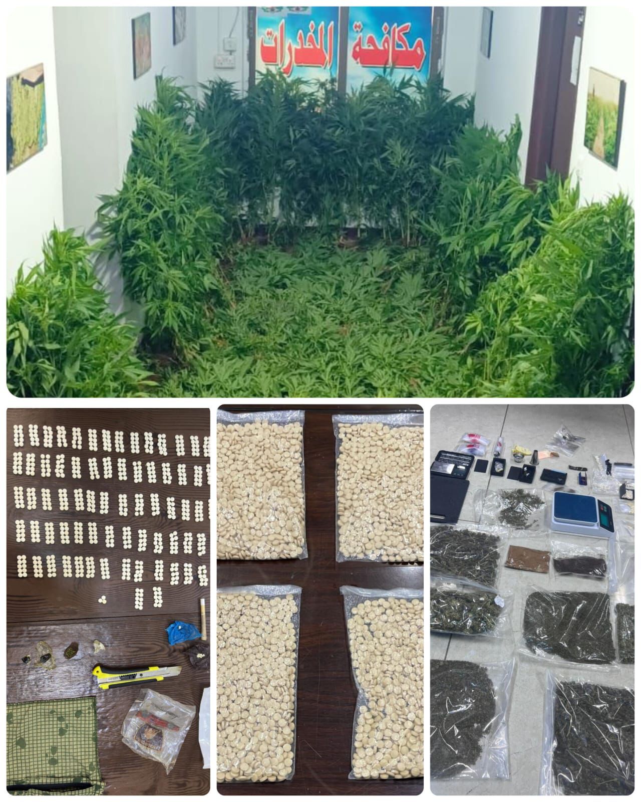  القبض على 35 تاجرا ومروجا للمخدرات في 13 قضية نوعية