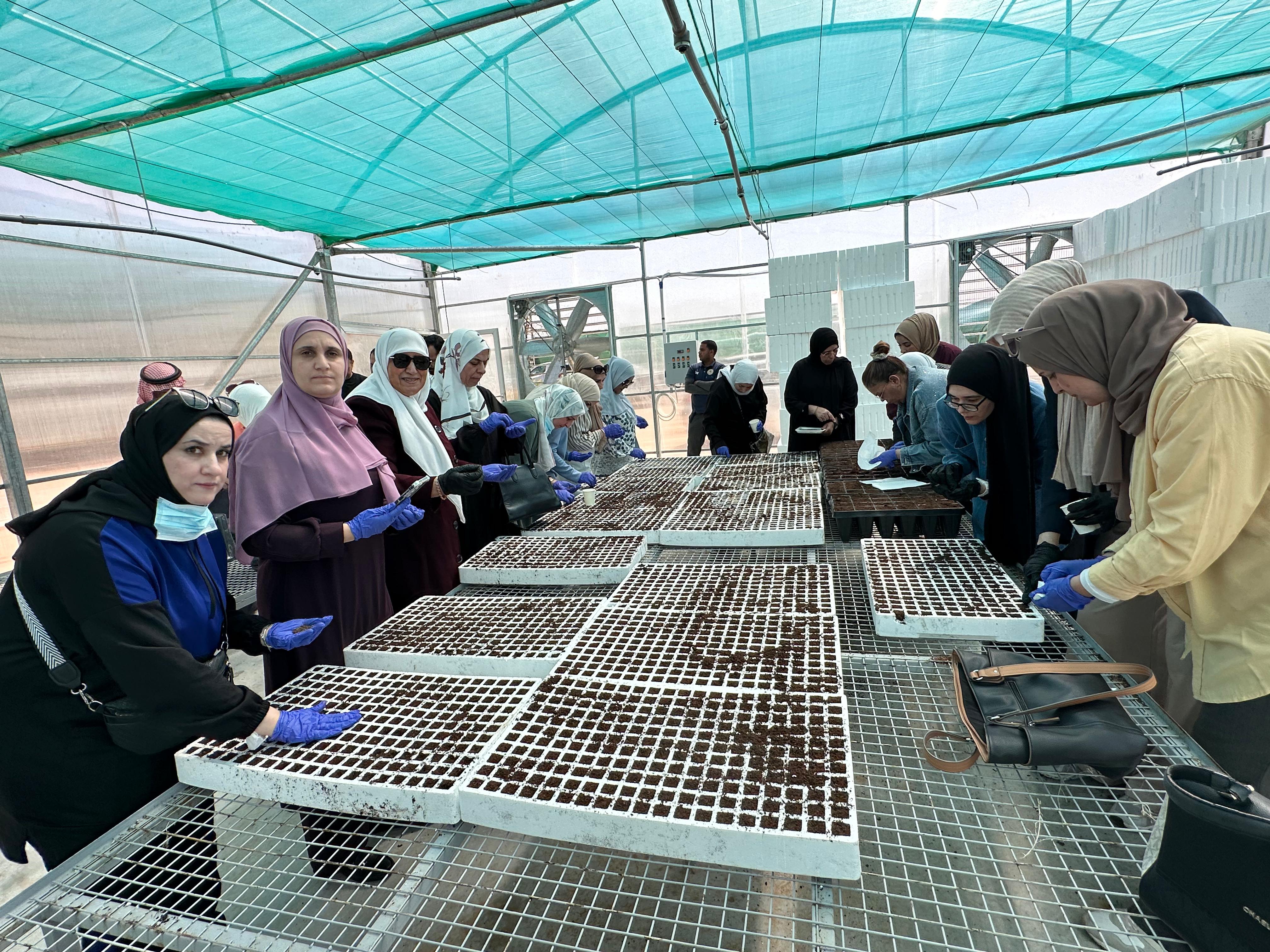 برنامج تدريبي في العقبة لاستزراع النباتات الأصيلة وتعزيز التنوع الحيوي