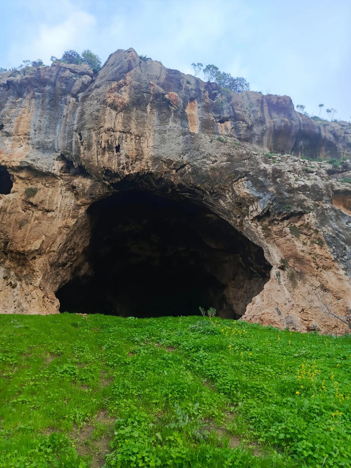 كهف "عراق الدب".. شاهد على الحضارات في شمال المملكة