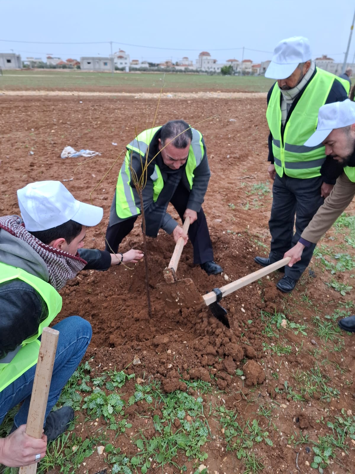  الرمثا تشارك بحملة التشجير الوطني 