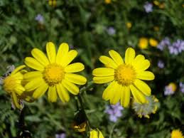 Normal summer conditions forecast today