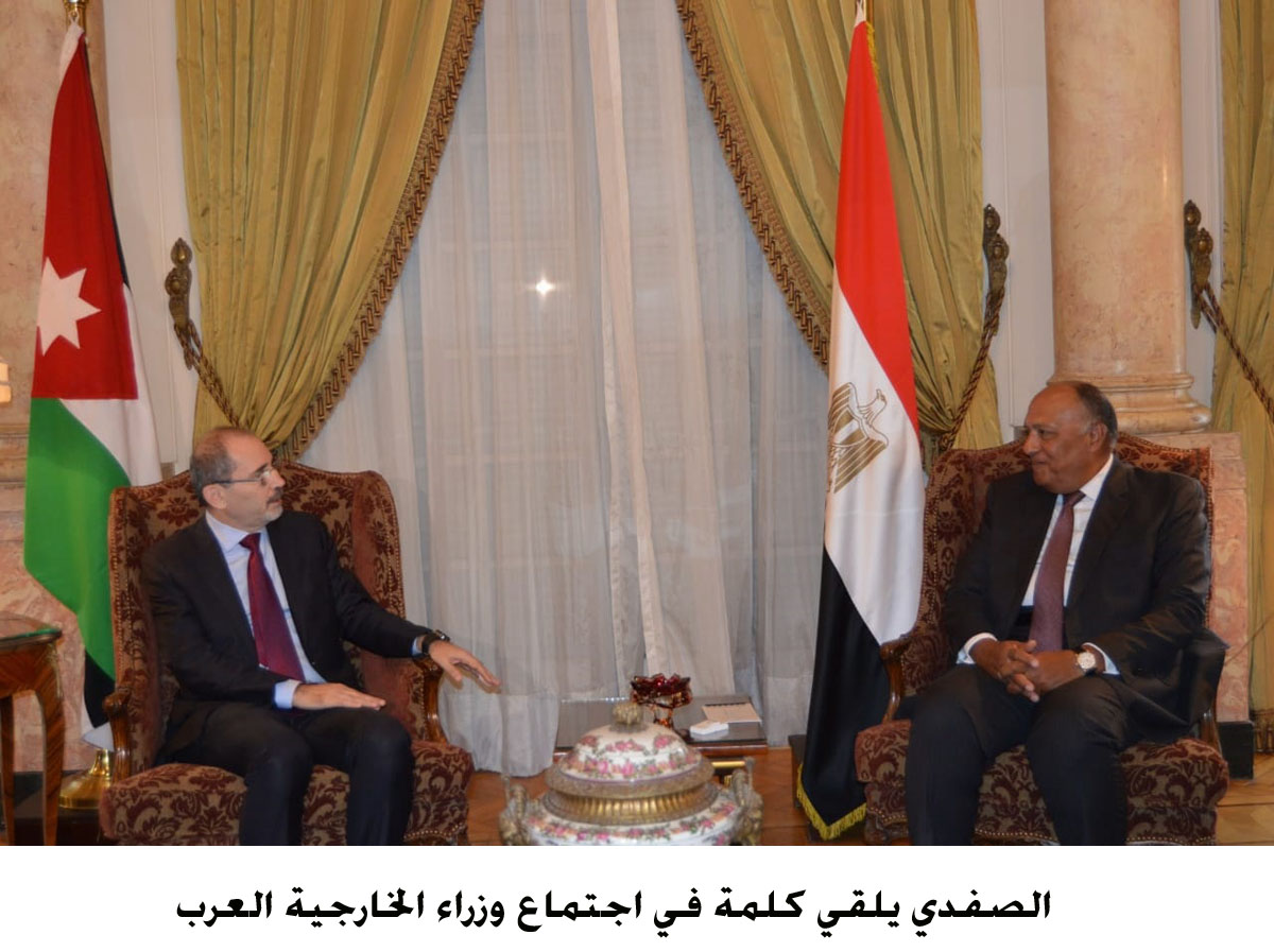 FM meets group of Arab foreign ministers in Cairo