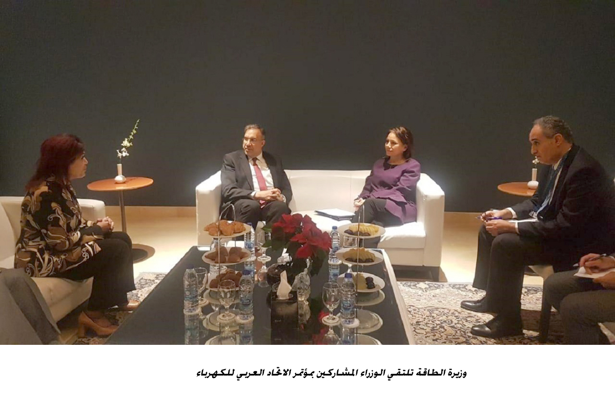 Energy minister meets peers participating in the the Arab Electricity Conference