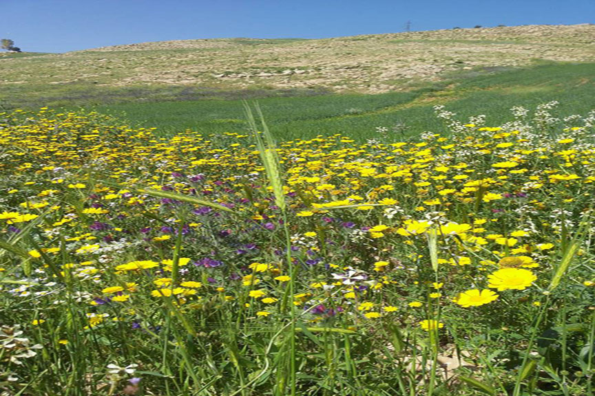 Sunny, warm conditions forecast Saturday, two cold days ahead