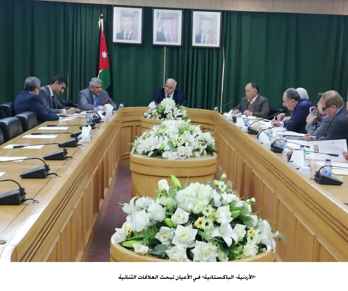 Senate panel, Pakistani envoy discuss ties