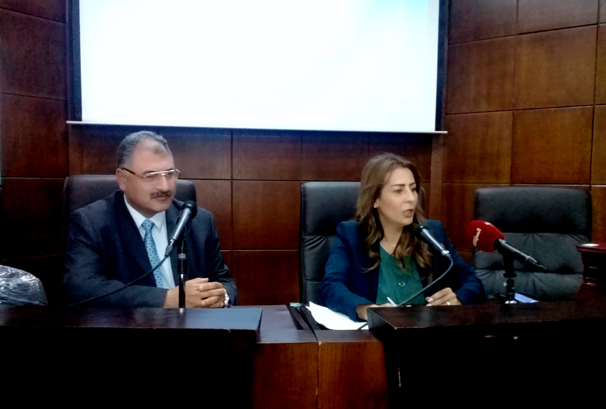 Gov't to form national team for media education: Minister