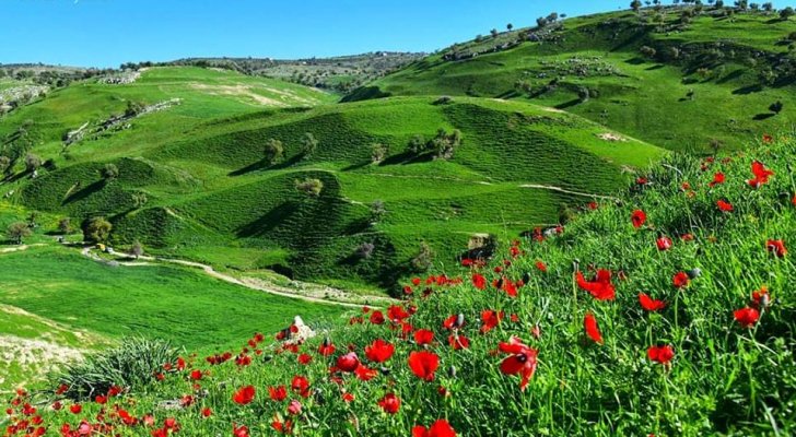 Spring-like weather to prevail for 3 days