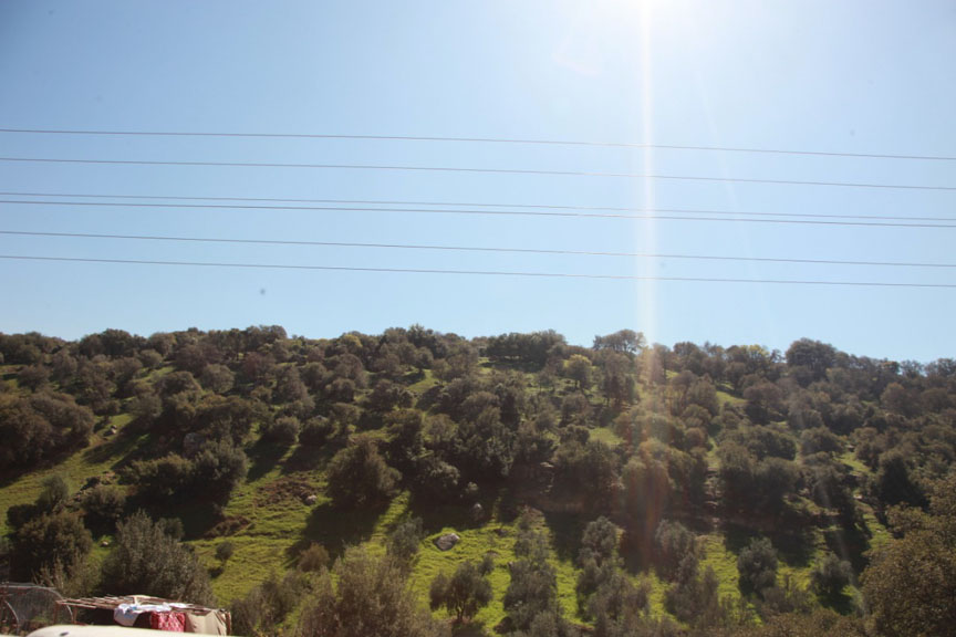 Temperatures climb to high 30s as heat wave continues