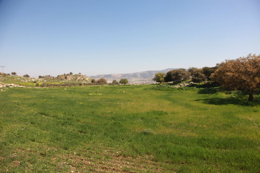 Moderate conditions forecast for three days