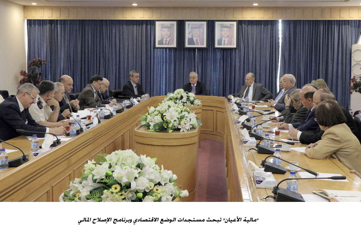 Senate committee discusses domestic economic situation