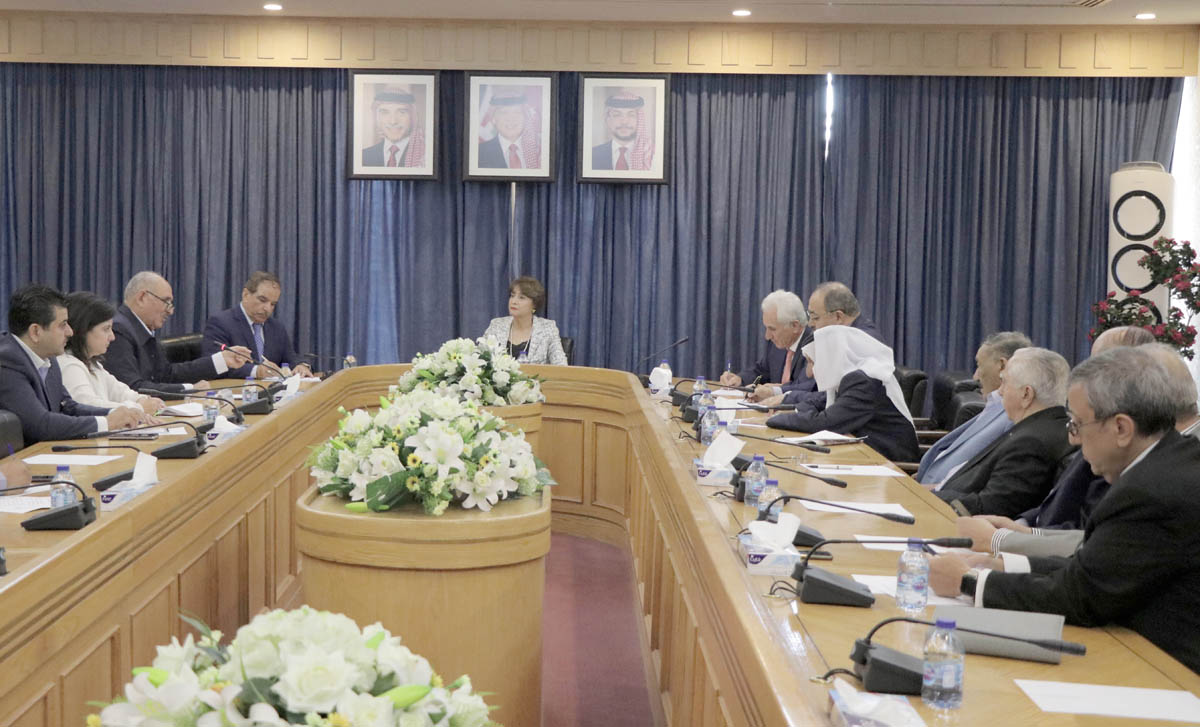 Senate’s National Youth Dialogue Committee discusses ways to support youth in the south