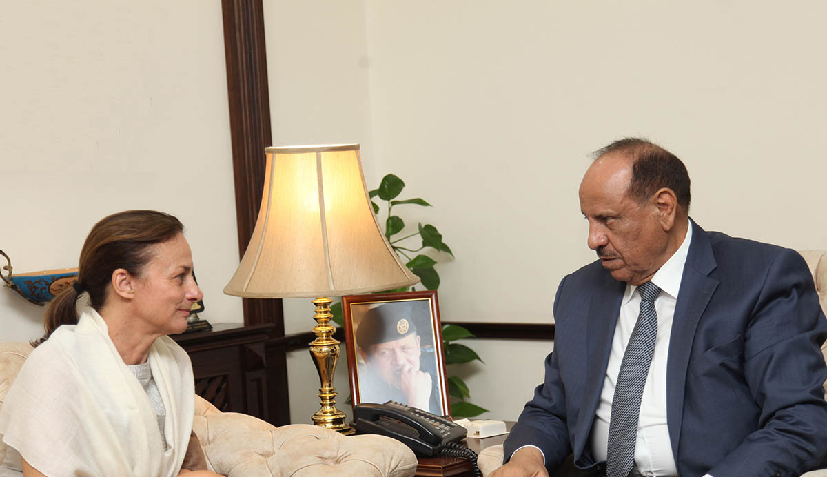 Interior minister meets UNICEF Jordan's representative