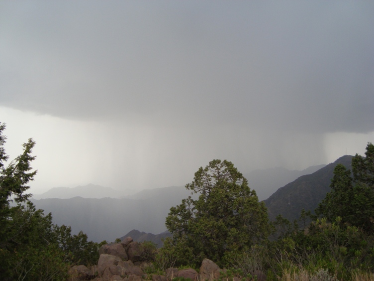 Hot, dry air mass affect Kingdom Wednesday