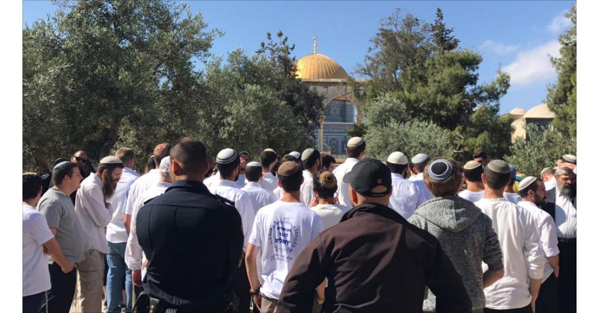 Radical settlers storm Al-Aqsa compound
