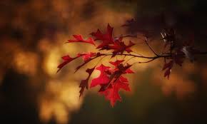 Moderate weather continues for two days