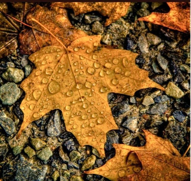 Cooler weather forecast for Saturday