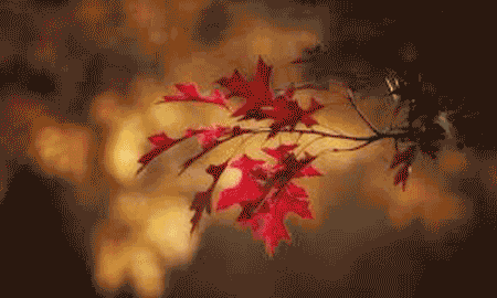 Mild weather forecast for 3 days